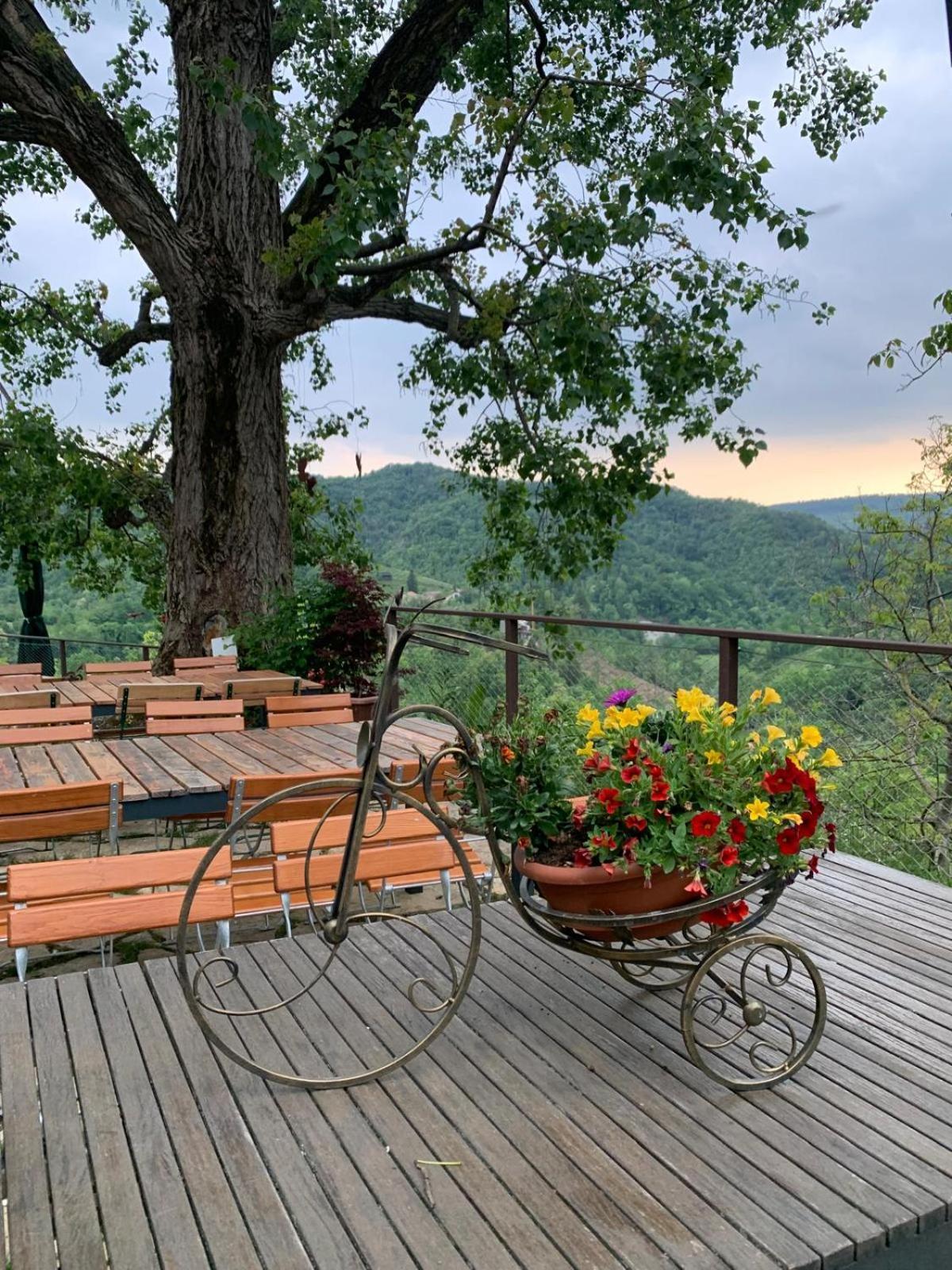 Agriturismo Le Noci Tarzo Exteriör bild